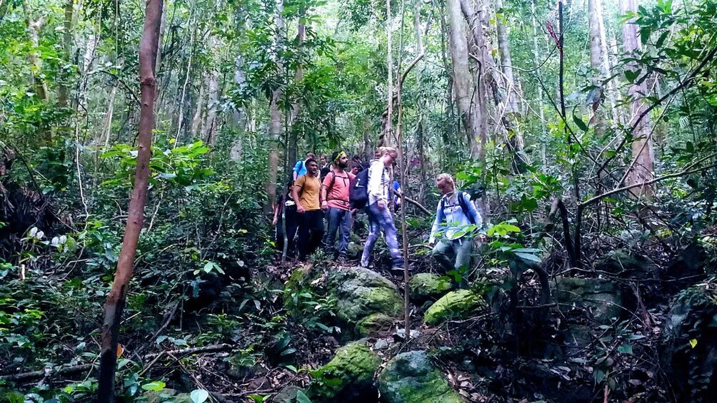 Eine Gruppe Wanderer in einem dichten Wald mit großen Felsen und Bäumen. 1
