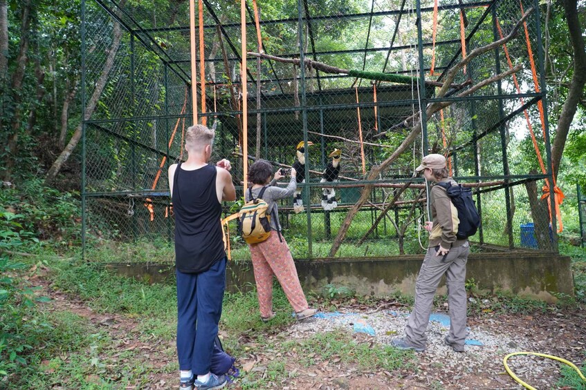 Eine Gruppe von Menschen beobachtet Vögel in einer bewaldeten Anlage mit einer Hängebrücke. 2