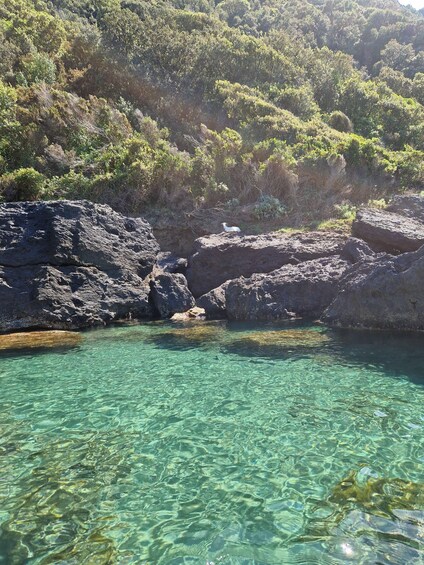 A clear turquoise sea with rocky formations and dense green vegetation on the hillside. 3