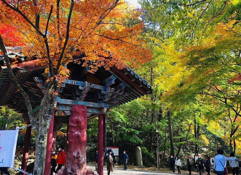 A traditional Japanese temple with a red and blue roof, surrounded by autumn foliage. 2