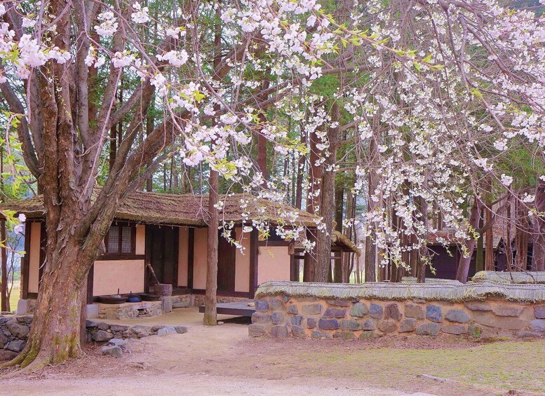 Ein traditionelles japanisches Gebäude, umgeben von Kirschbäumchen. 3