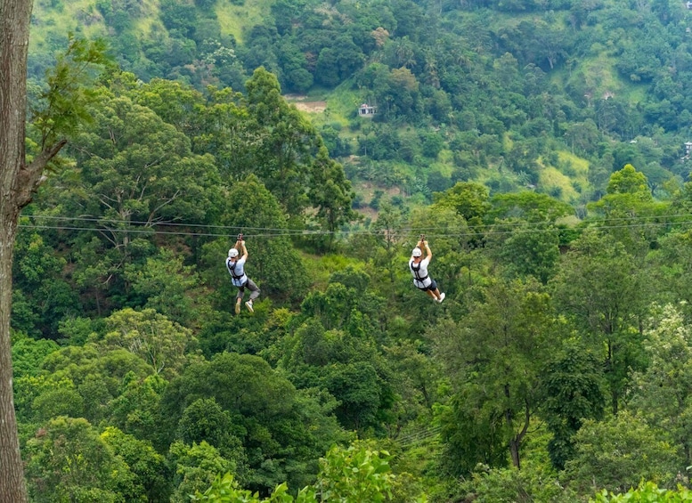 Two people zip-lining through a dense forest. 1