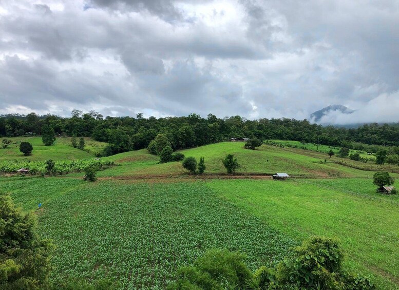 A lush green landscape with rolling hills, scattered trees, and a cloudy sky. 5