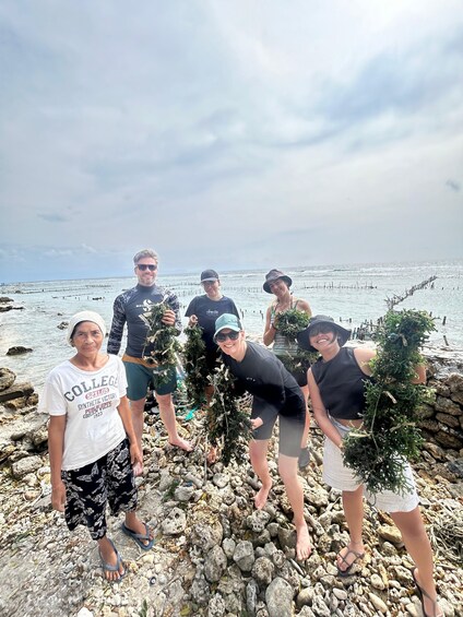 A group of people standing on a rocky beach holding trees. 3