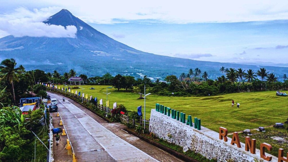 A road with parked cars, a grassy area with palm trees, and a mountain in the background. 3