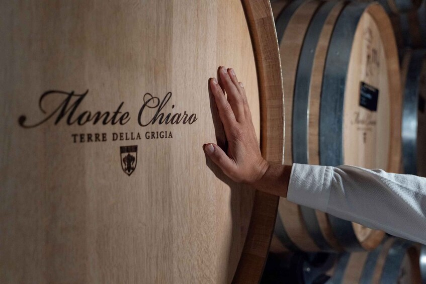 A hand touching a wooden barrel with the text 'Monte Chiaro' and 'Terre della Grigia' on it. 3
