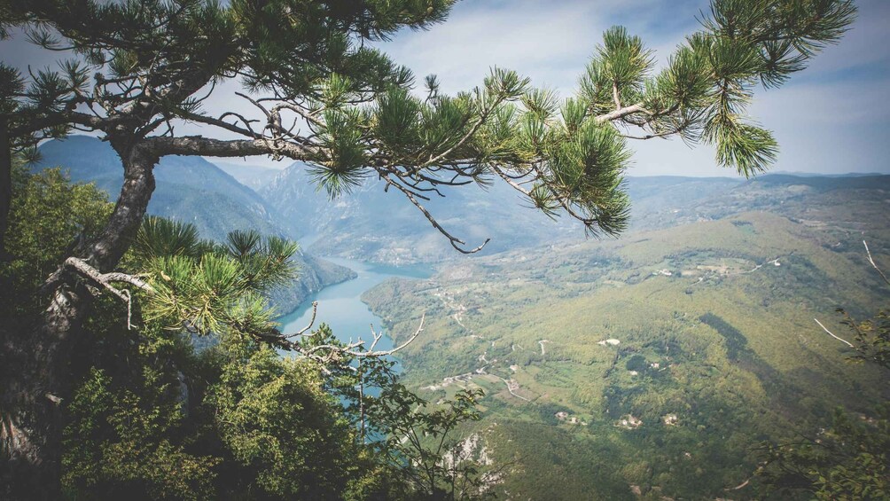 A mountainous landscape with a pine tree branch in the foreground and a valley with a lake in the background. 2