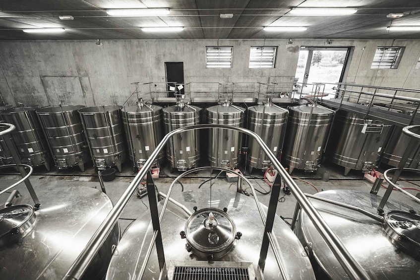 A brewery with stainless steel tanks and a central brewing kettle. 5
