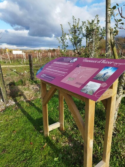 A wooden information board with text and images in a grassy field with trees and a cloudy sky. 4