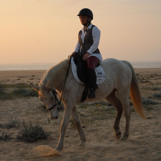 A person riding a horse on a beach at sunset. 4