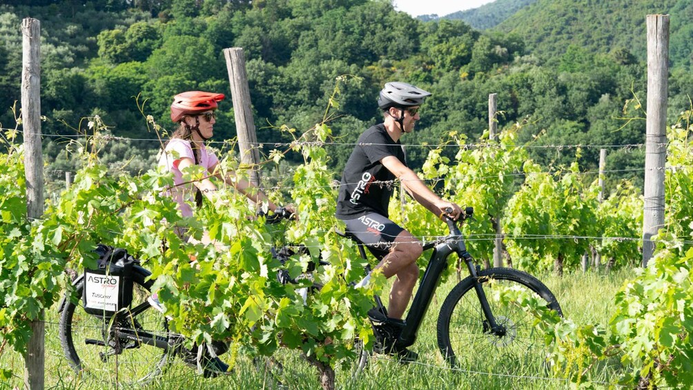 Two cyclists in a vineyard with a bicycle and a sign. 4