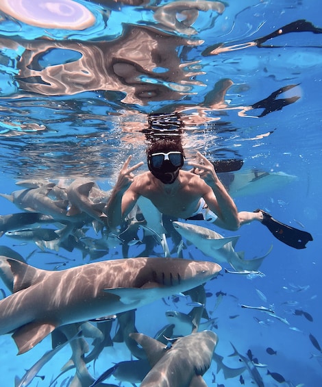 A person swimming with sharks in clear blue water. 5