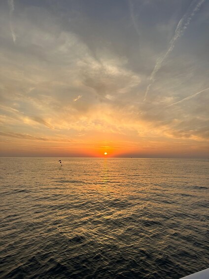 A sunset over a calm sea with a bird flying near the horizon. 3