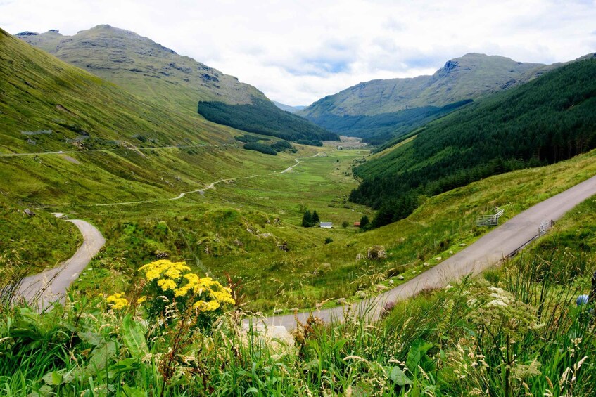 A valley with a winding road, green hills, and a yellow flower in the foreground. 5