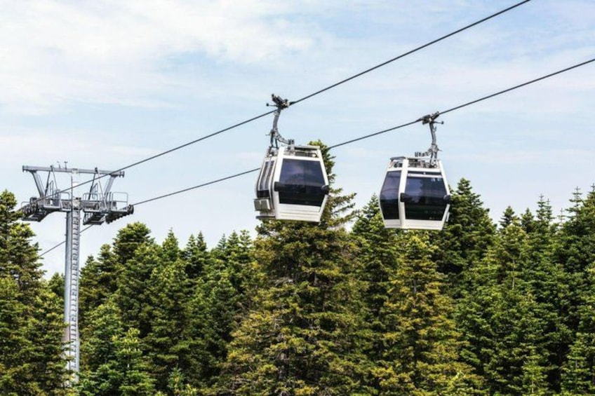 Two cable cars suspended above a forested area. 1