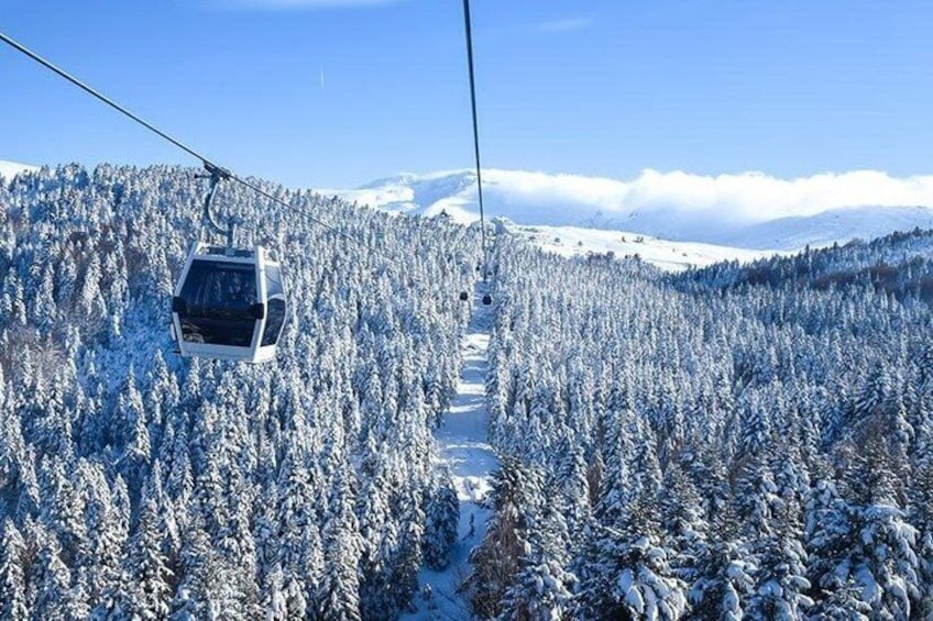 A cable car moving through a snowy forest with a mountain in the background. 5