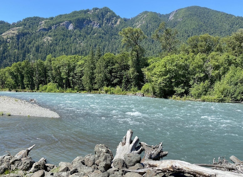 A river with white water rapids, surrounded by dense green forest and mountains in the background. 2