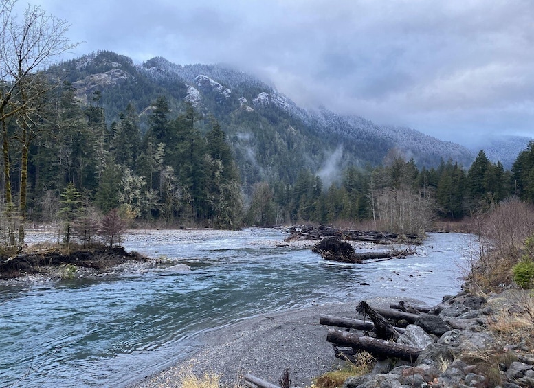 A river flowing through a forested valley with snow-capped mountains in the background. 5