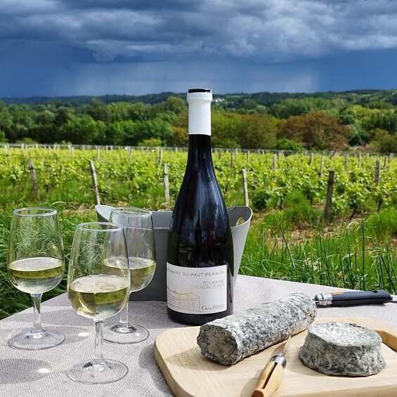 A bottle of wine, glasses, a cheese wheel, and a knife on a table with a vineyard in the background. 4