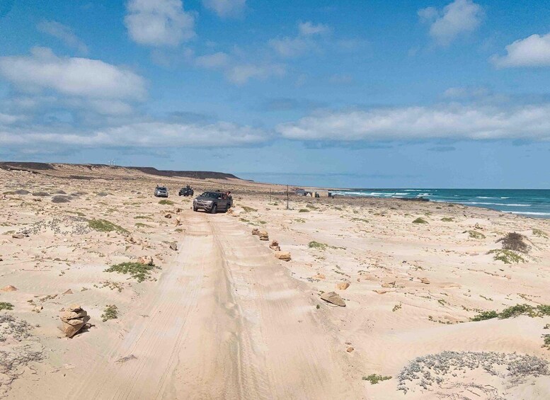 A desert landscape with a dirt road leading to the ocean, vehicles parked along the road, and a clear sky. 3