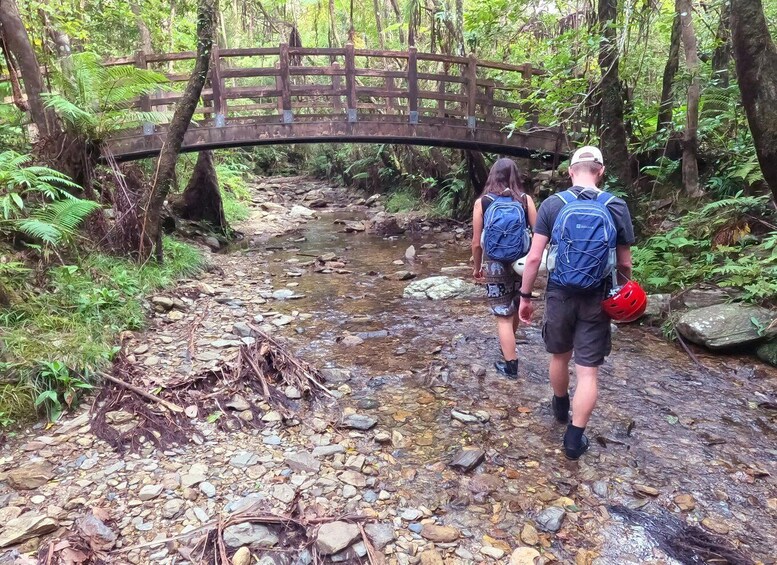 A wooden bridge over a rocky stream in a forested area. 5