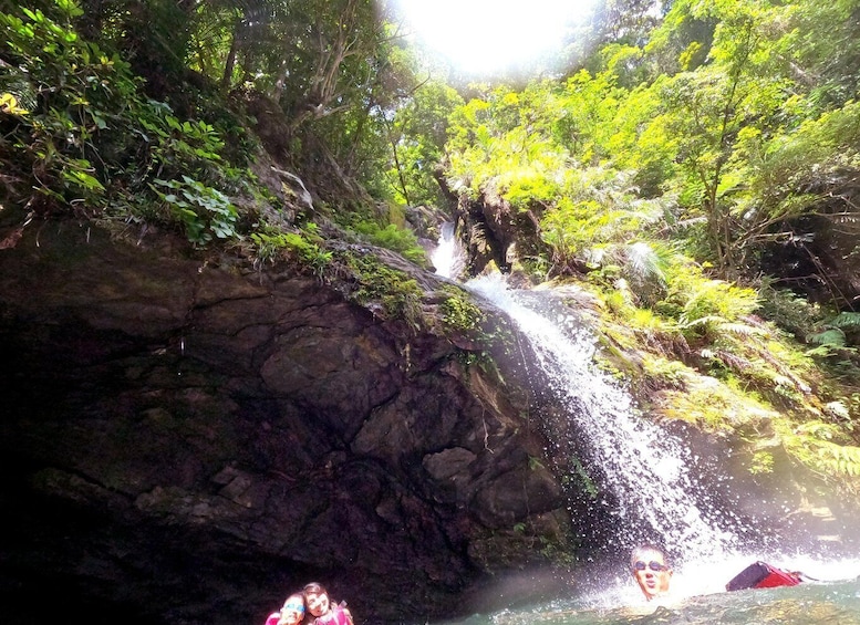 A waterfall in a forested area with lush greenery and a rocky cliff. 2