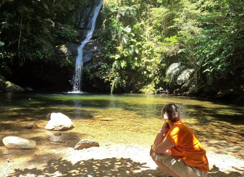 A waterfall in a forested area with clear water and rocks. 1