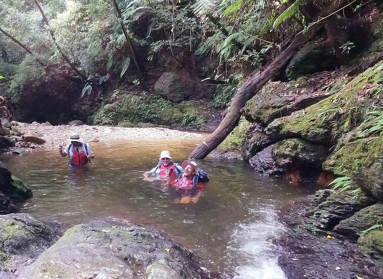 Three people wading in a shallow stream surrounded by rocks and ferns. 4