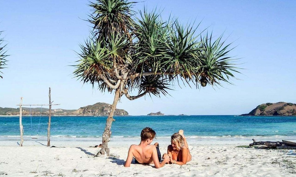 A beach with a palm tree, two people sitting on the sand, and the ocean in the background. 1