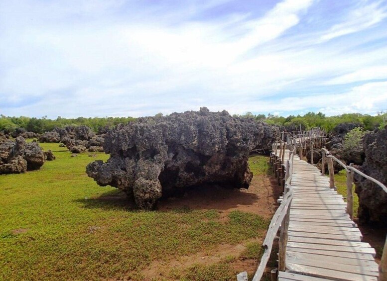 A wooden boardwalk leading to a large rock formation surrounded by greenery. 5