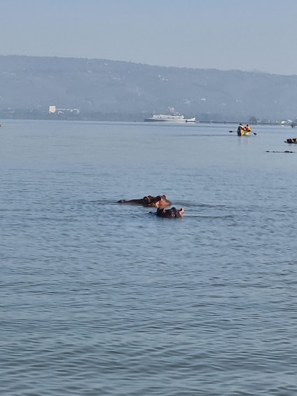 A calm body of water with a few boats and people in the distance. 2