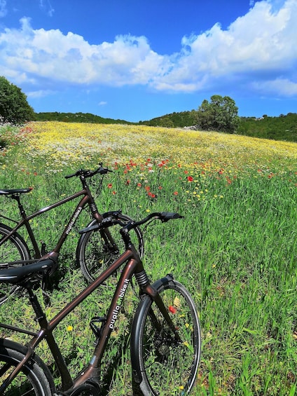 Picture 1 for Activity Riding to Alberobello and countryside with E-Bike 2