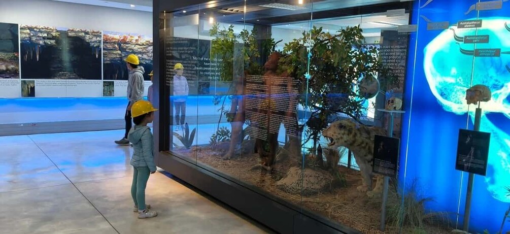 A museum exhibit with dinosaur fossils and informational displays. 2