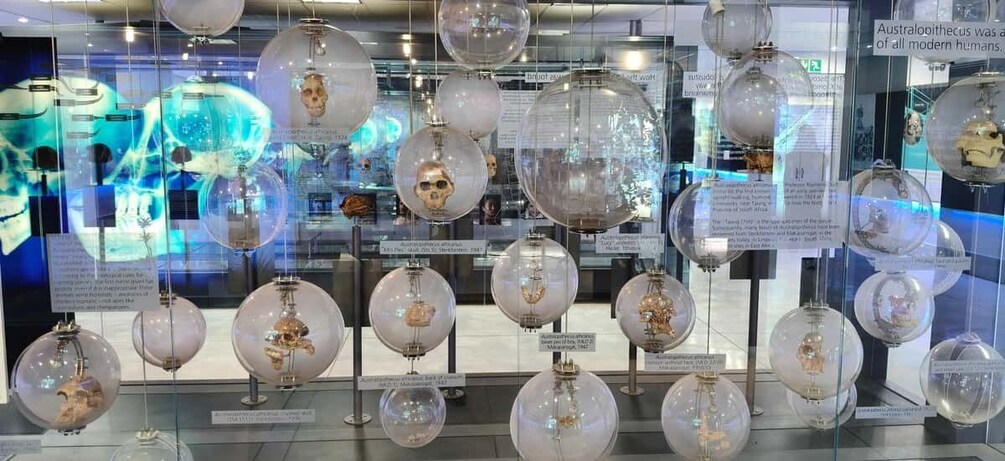 A museum exhibit with spherical glass displays containing various artifacts. 4