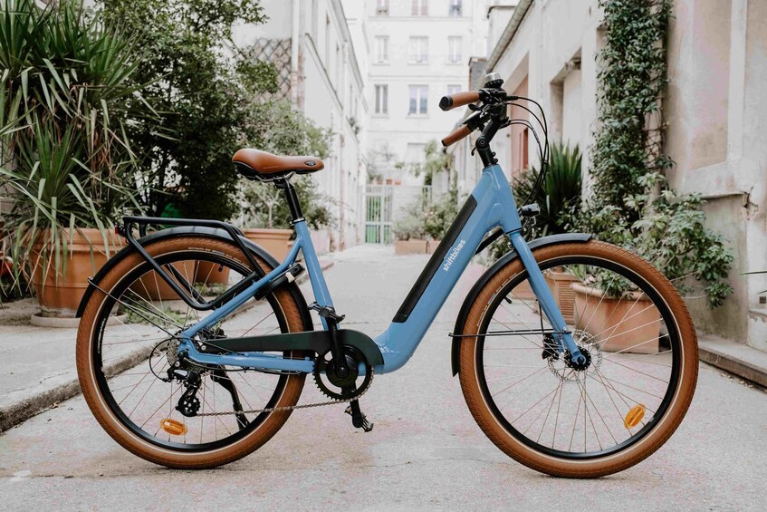 A blue electric bicycle parked on a street with potted plants and buildings in the background. 3