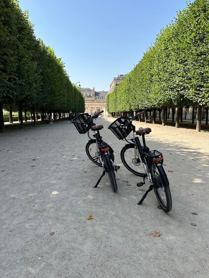 Two bicycles parked on a gravel path flanked by rows of neatly trimmed hedges. 2