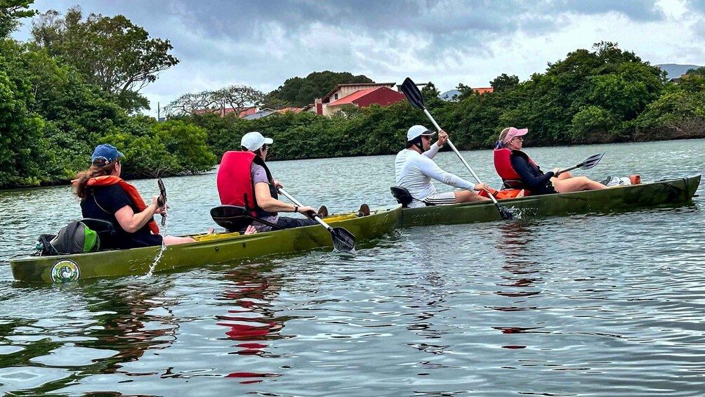 Picture 7 for Activity Floripa: Cinematic Kayak & SUP to Secret Beach & Wildlife 4