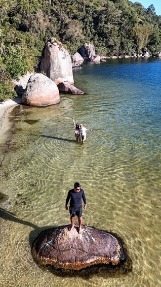 Picture 8 for Activity Floripa: Cinematic Kayak & SUP to Secret Beach & Wildlife 2