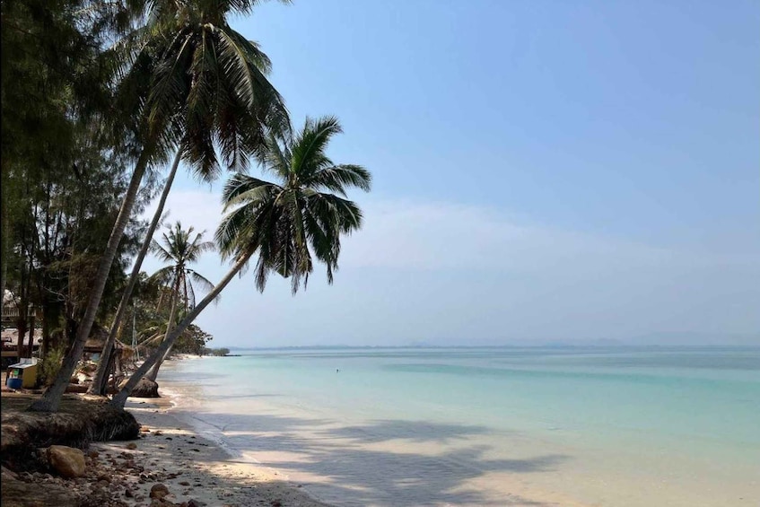 A beach with palm trees and calm turquoise water. 2