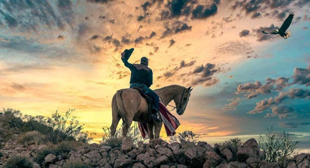 A person on horseback, a sunset, and a bird in flight. 2