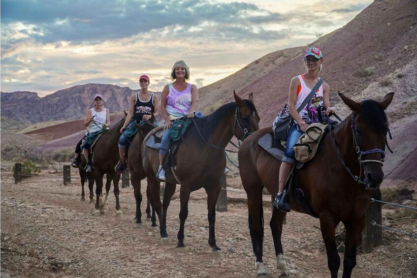 Four people riding horses on a dirt path with a mountainous backdrop. 5