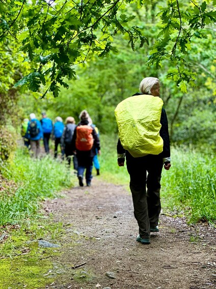 A group of people hiking on a forest path. 1