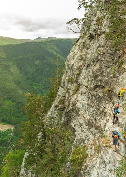 Two climbers ascending a steep, rocky mountain slope with dense forest in the background. 4