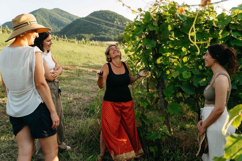 A group of people in a vineyard with green grapevines and hills in the background. 3