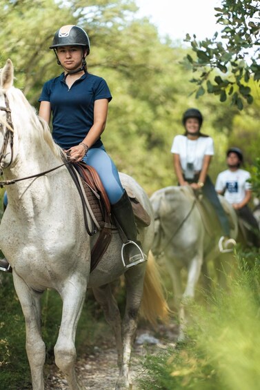A person riding a white horse on a trail with greenery in the background. 1