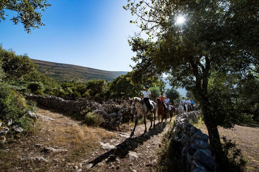 A group of people riding horses along a stone path in a hilly, wooded area. 4
