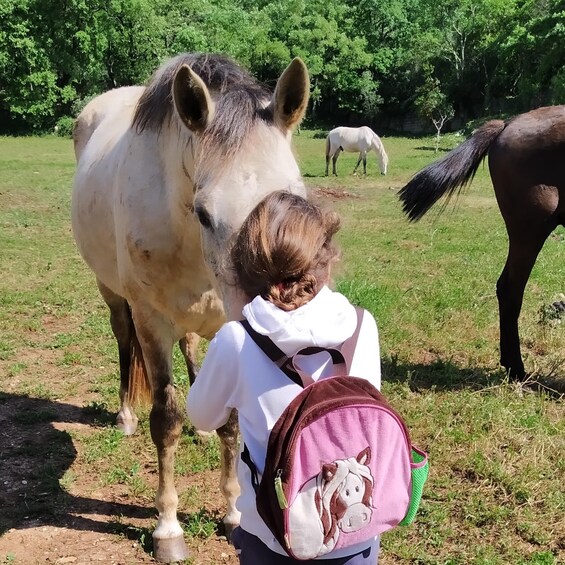 A person with a horse, another horse in the background, and a grassy field. 5