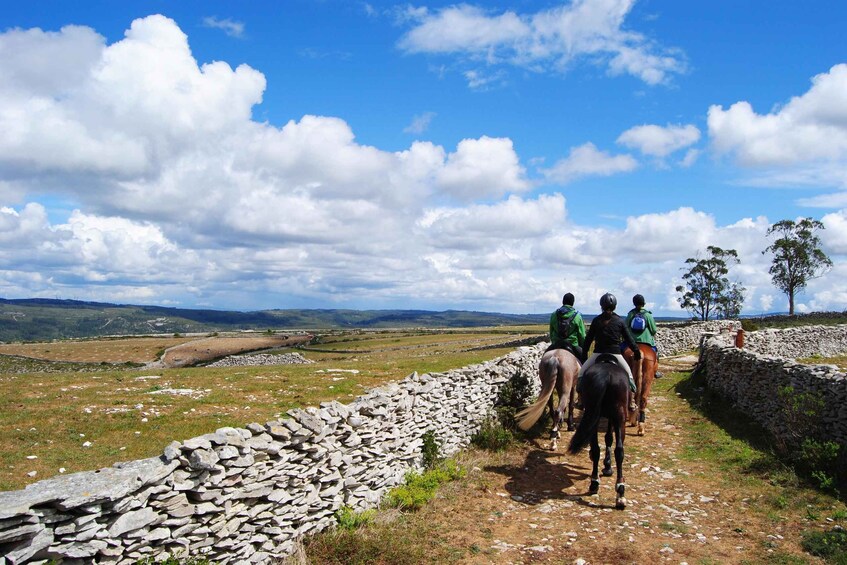 A group of people horseback riding along a stone wall with a scenic landscape in the background. 3
