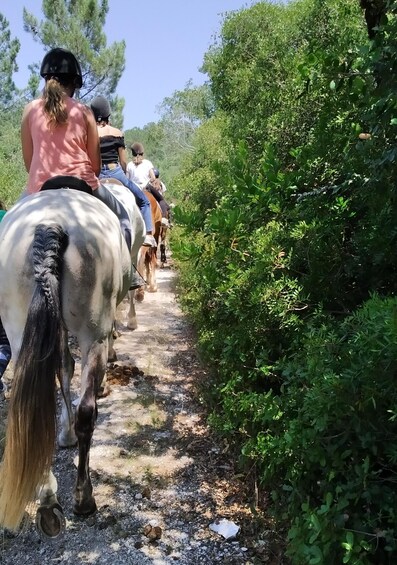 A group of people riding horses along a narrow path surrounded by dense greenery. 2