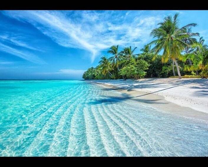 A beach with clear turquoise water, white sand, and palm trees under a blue sky. 2